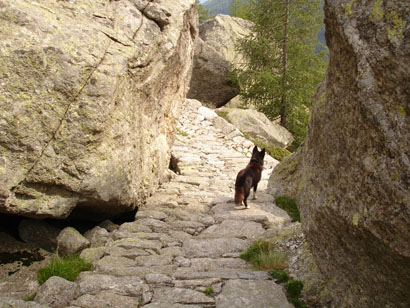 Luna ascolta il fischio delle marmotte.