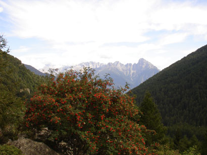 Sorbo. Sullo sfondo le cime della Val Bregaglia.