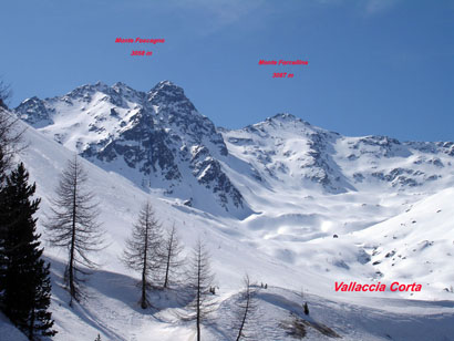 Il Monte Foscagno 3058 m e Monte Forcellina visti dalla Vallaccia Corta, versante NE.