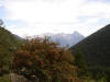 Sorbo. Sullo sfondo le cime della Val Bregaglia.